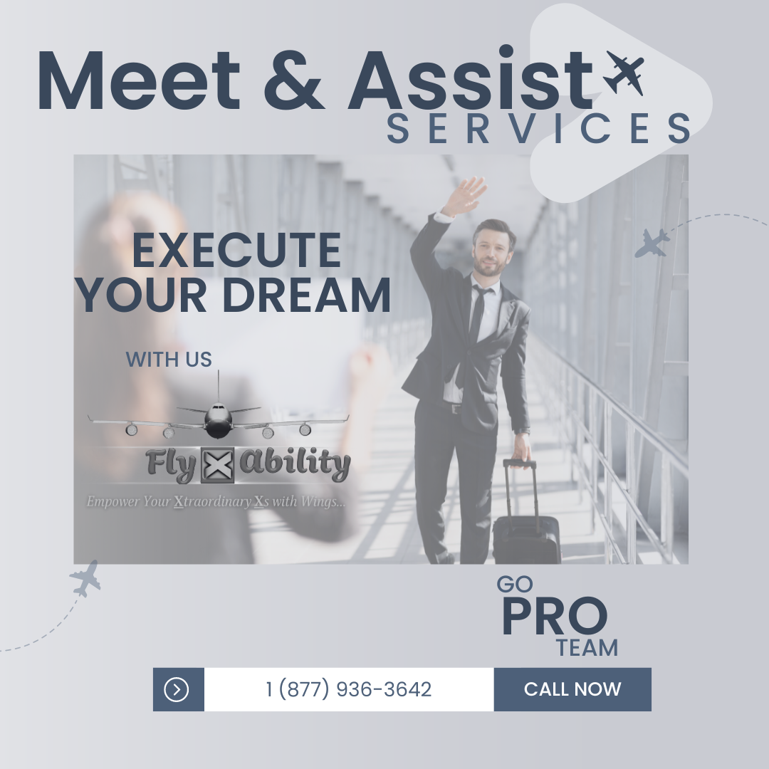 meet-and-assist-services All-International-Airlines-by-FlyXability